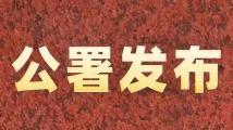 91精产品一区永远免费观看,免费畅享,观影无界限